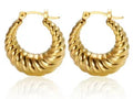 Luxury Shiny Zircon Hoop Earrings - Stainless Steel Dames & Queens Dreams-Lingerie
