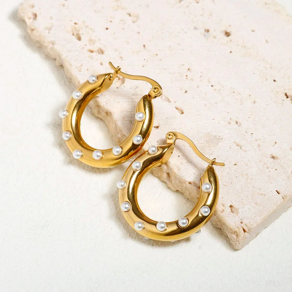 Luxury Shiny Zircon Hoop Earrings - Stainless Steel Dames & Queens Dreams-Lingerie