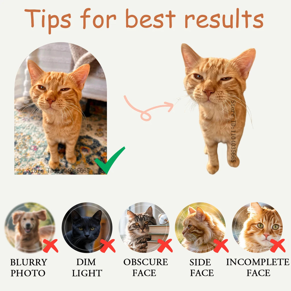 IHX Ugly Cat Dog Zany Pillow,Custom Pet 3D Pillow,Personalized Pet Pillow From Photo,Pet Loss Memorial Gift,Stuffed Toys Dolls Dames & Queens Dreams-Lingerie