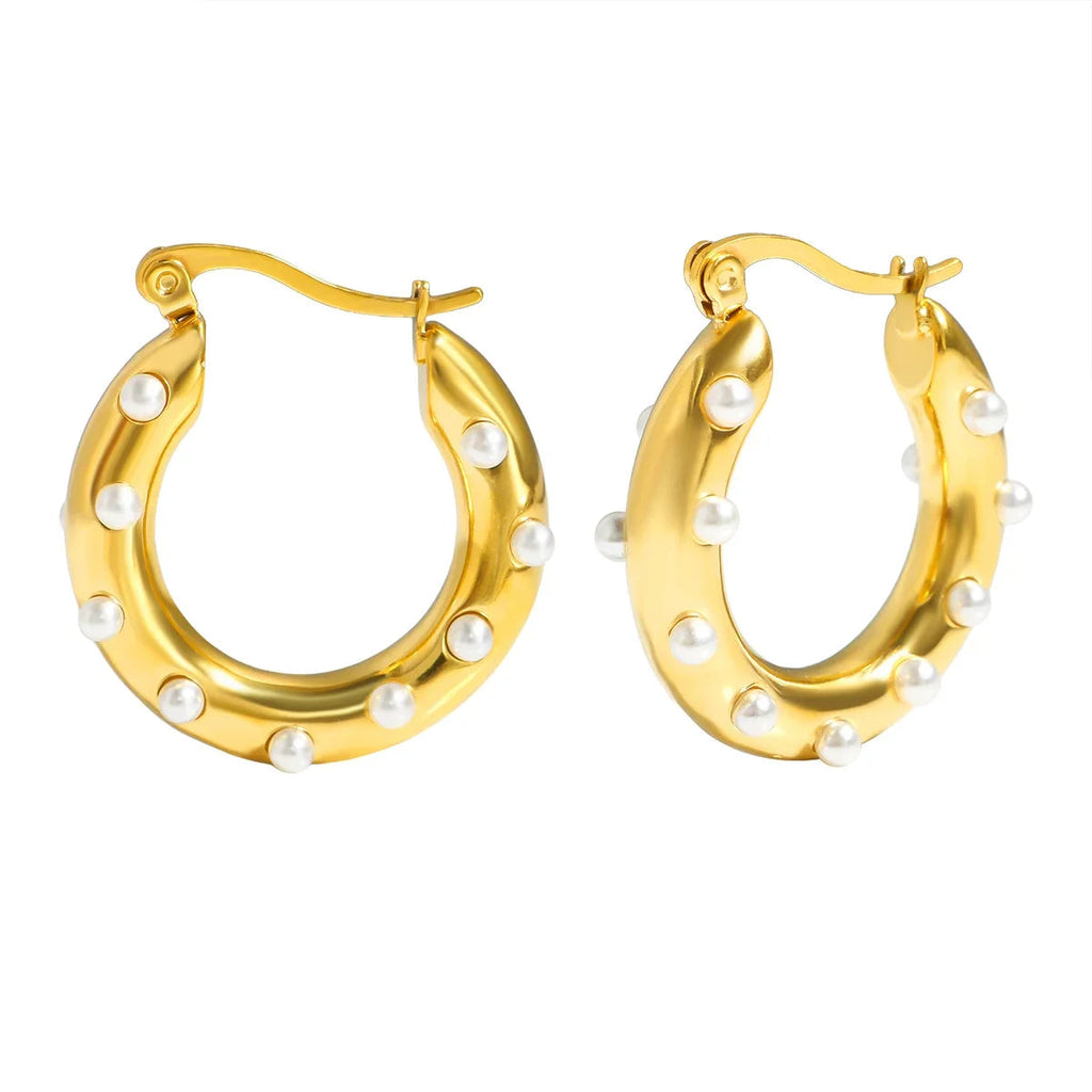 Luxury Shiny Zircon Hoop Earrings - Stainless Steel Dames & Queens Dreams-Lingerie